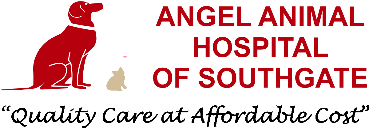Angel Animal Hospital of Southgate
